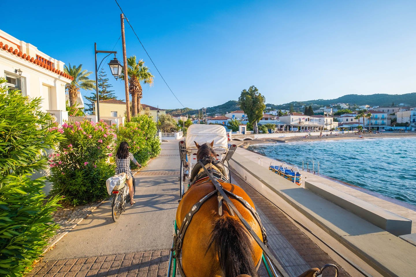 Ride in a Horse and buggy in Spetses