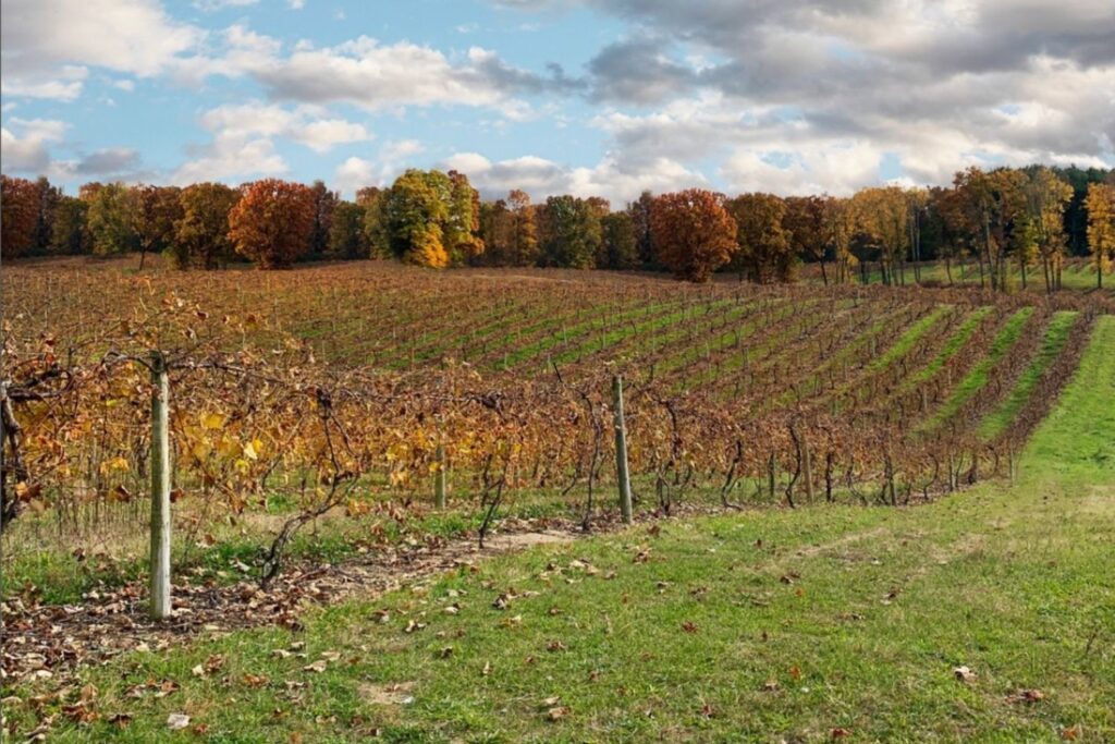 20 Fantastic Things To Do In Frankenmuth, Michigan