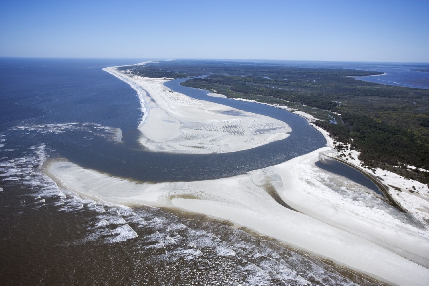 Cumberland Island, Georgia