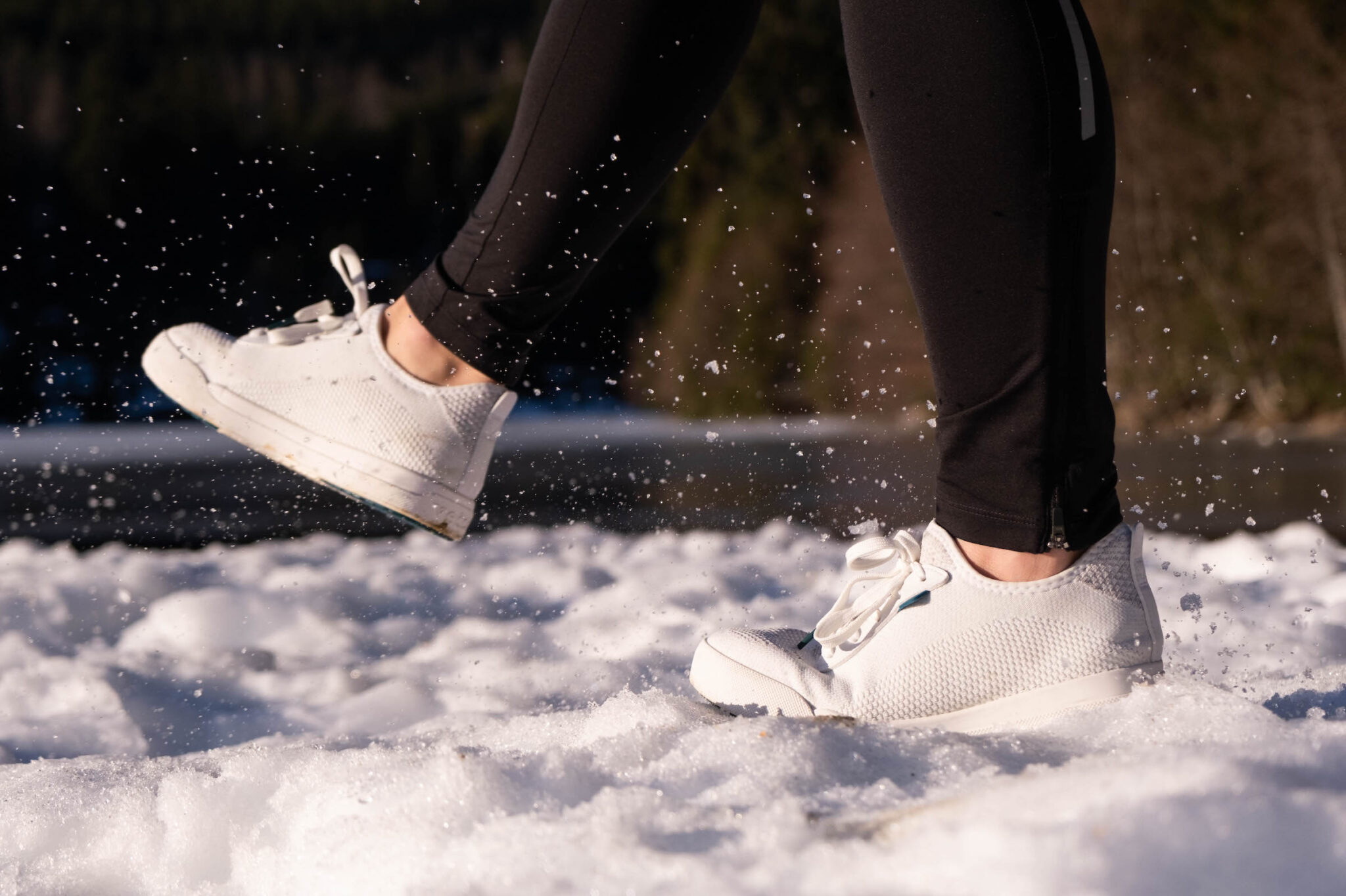 Vessi Vs Allbirds Which Shoes Are Right For You?