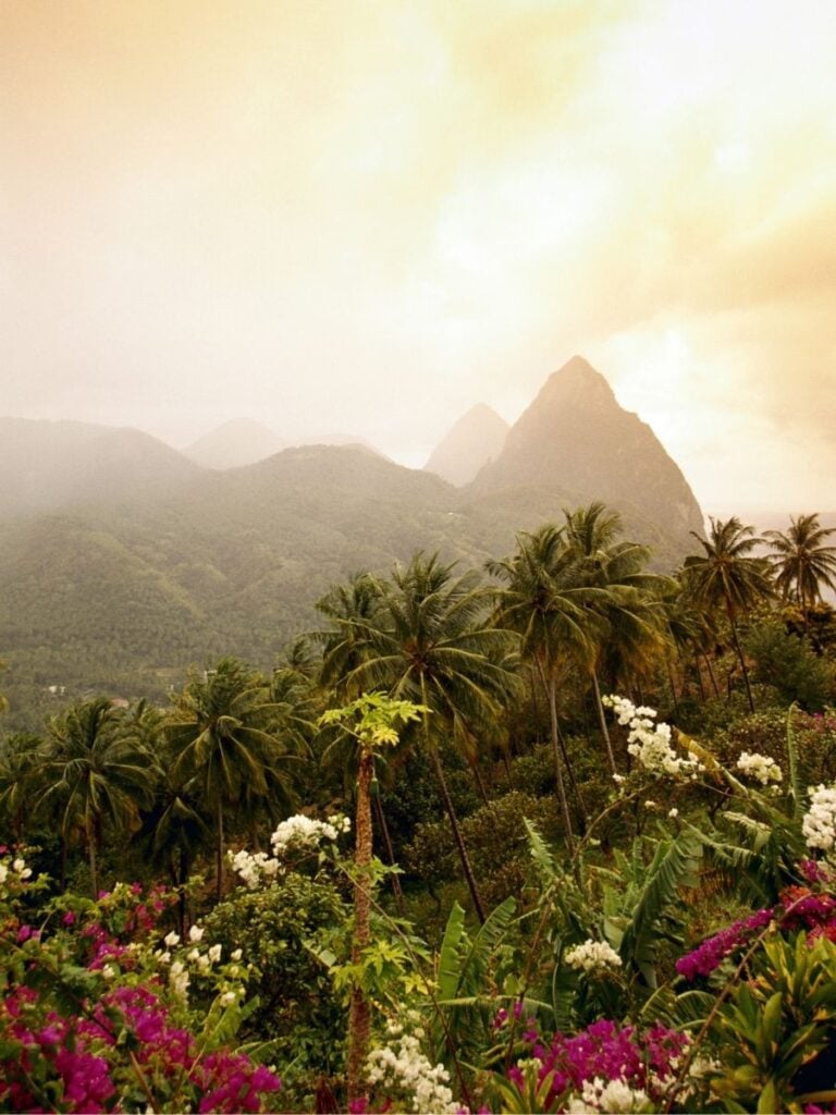 BEST Time To Visit St Lucia St Lucia Weather Month By Month