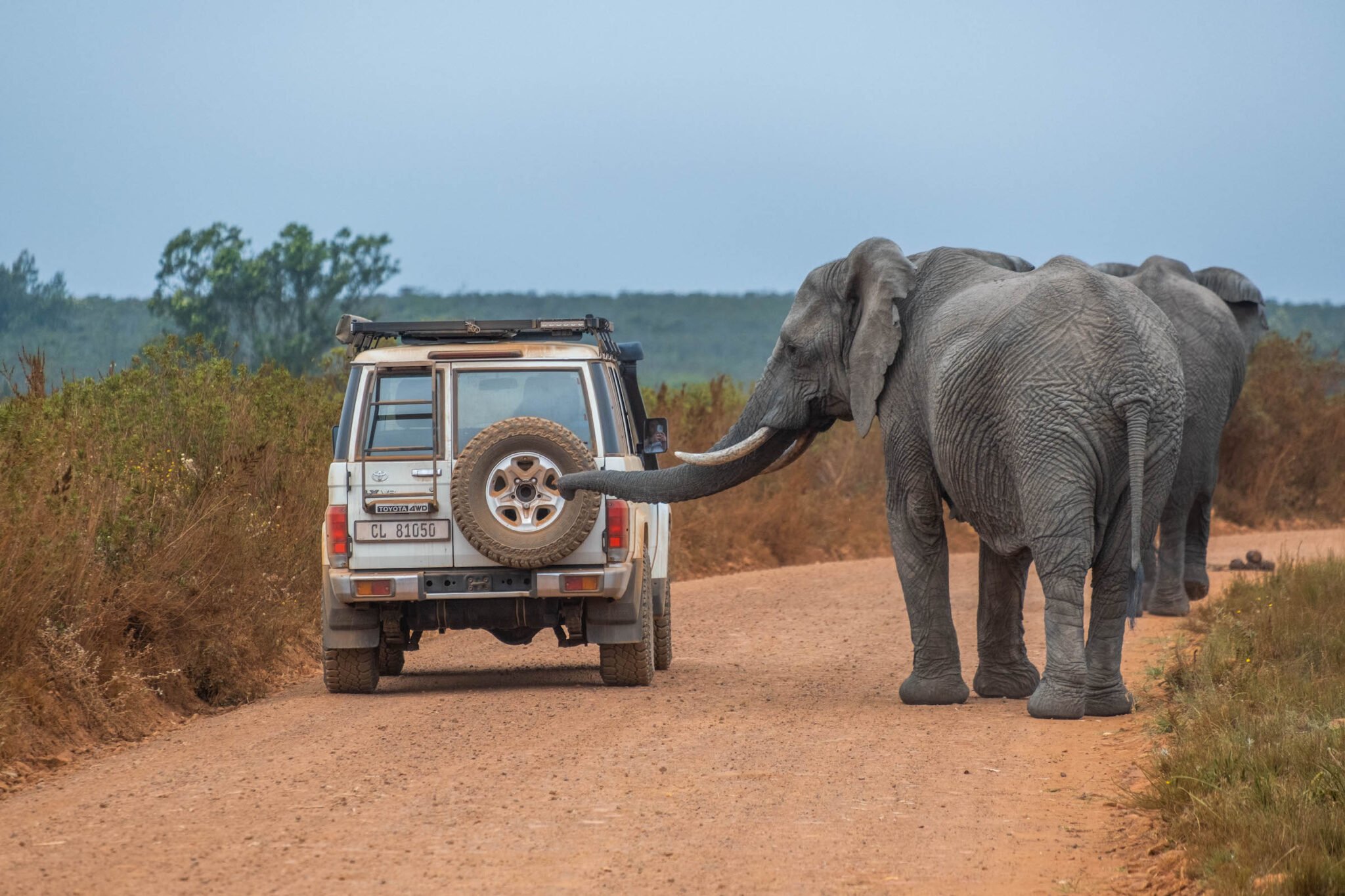 25 Car Rental South Africa Tips To KNOW