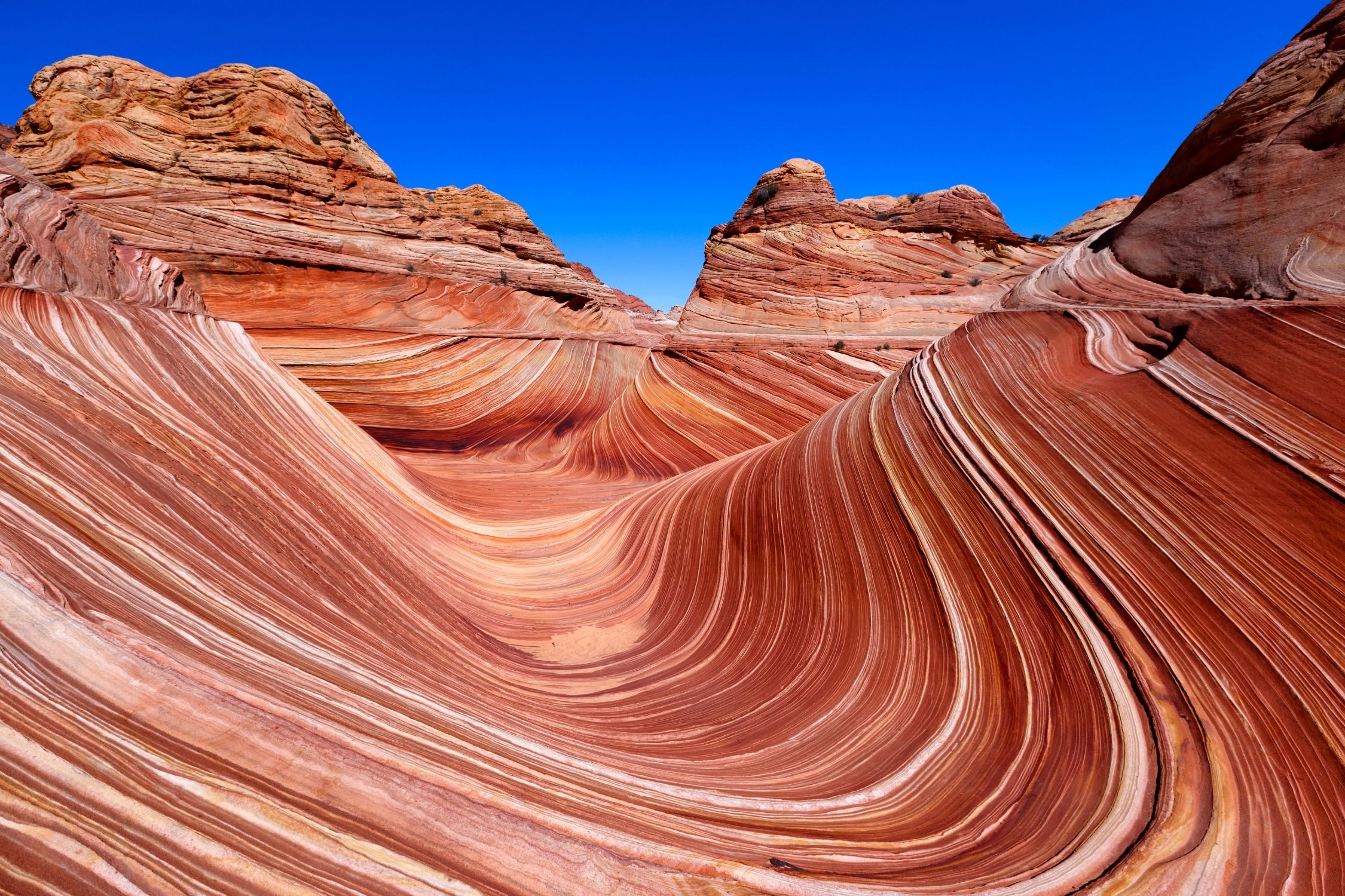 The Wave, Arizona