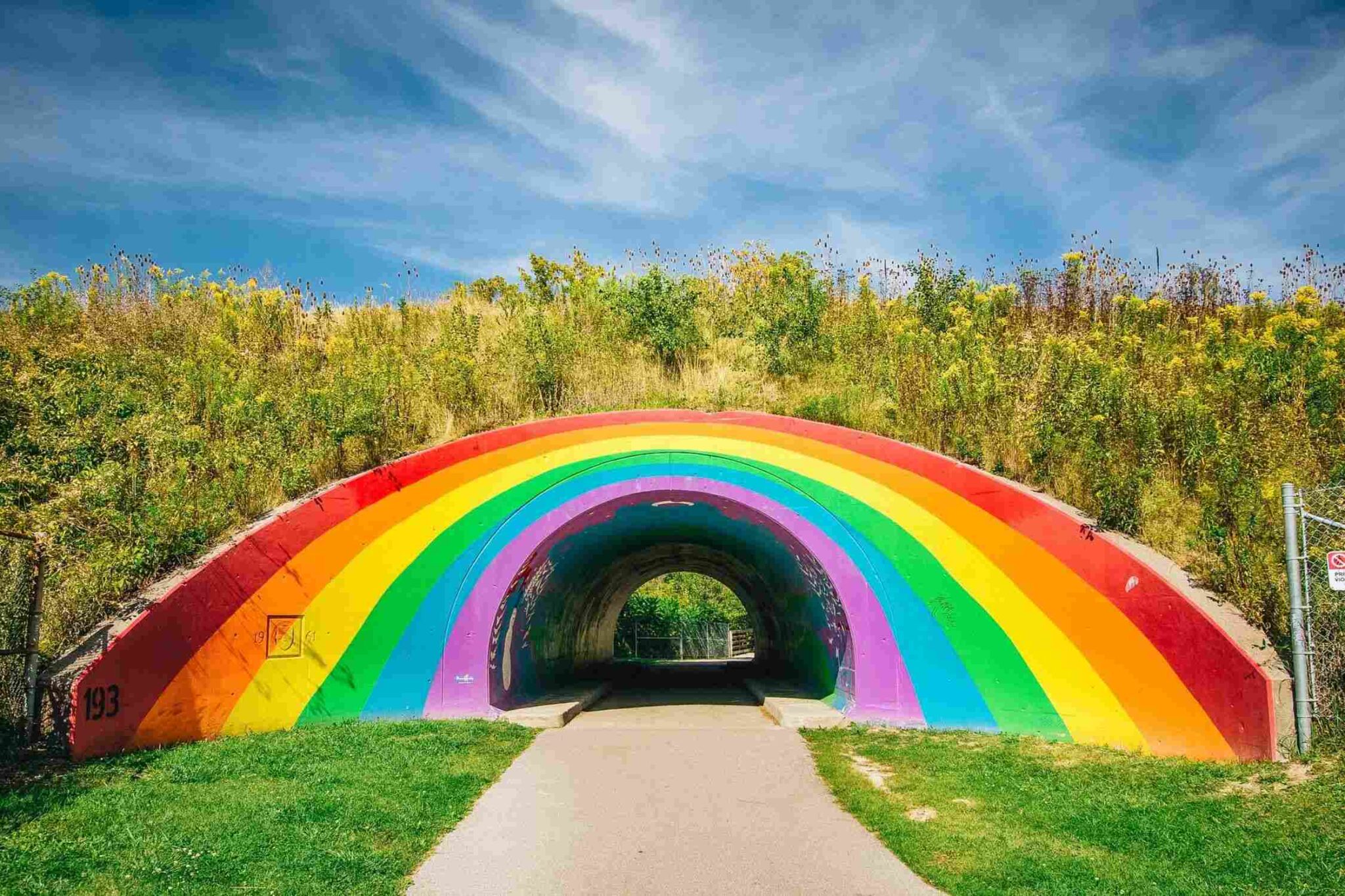 50 BEST Things To Do In Toronto (2024)