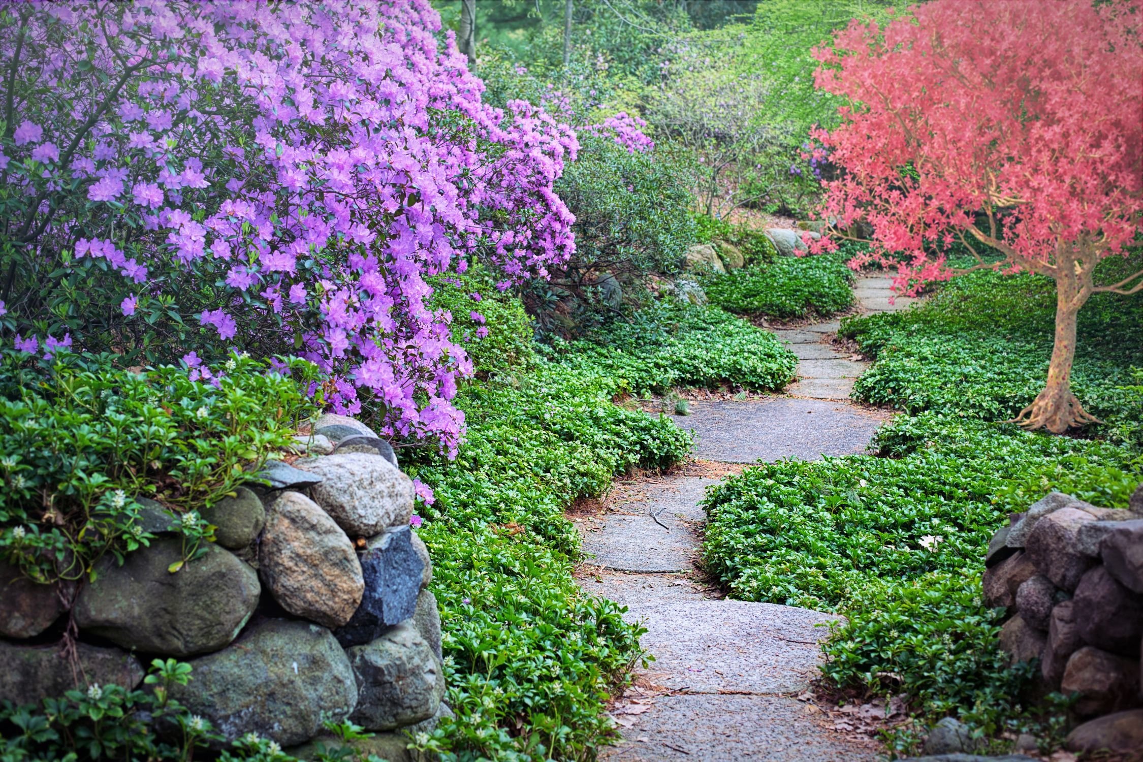 New Hanover County Arboretum