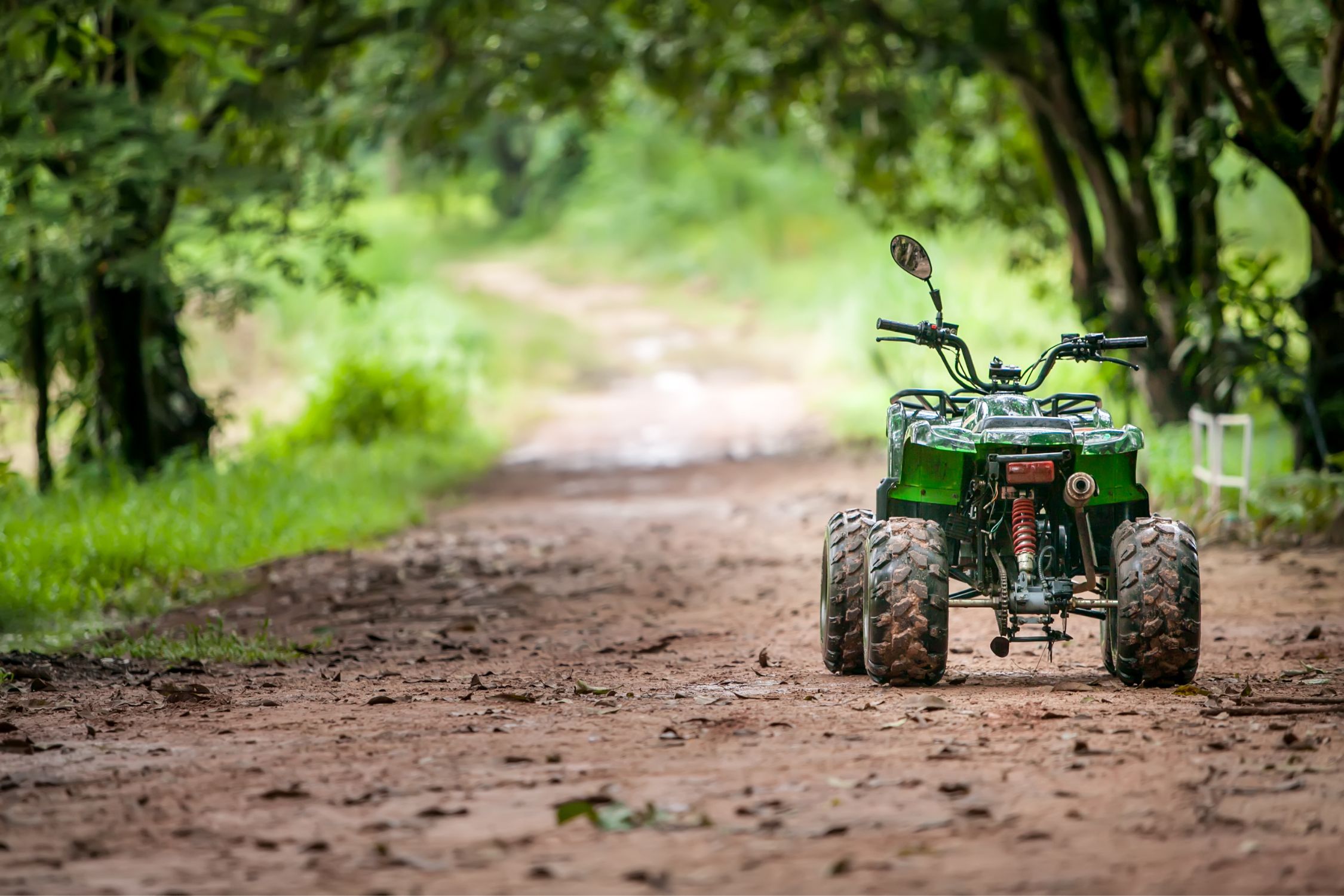 atv tour