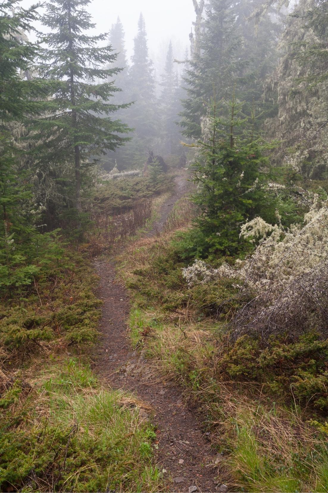 Isle Royale National Park Hiking Trail