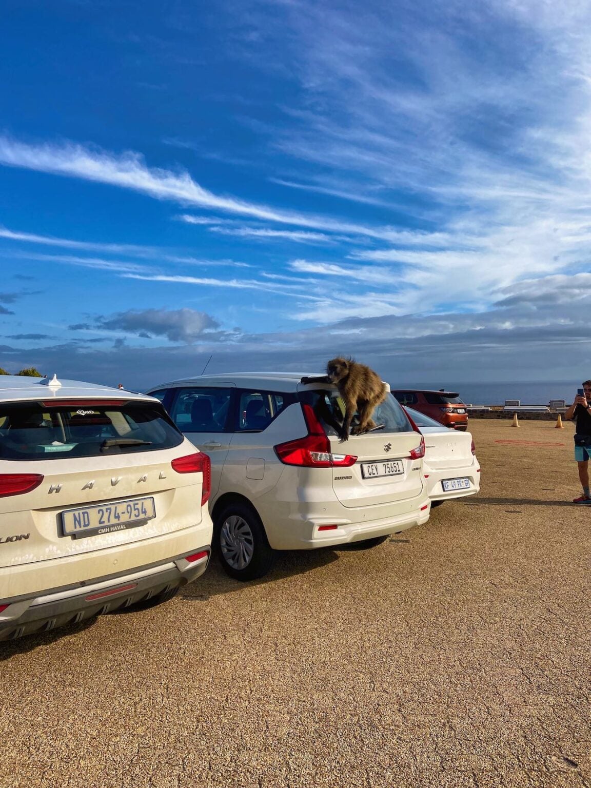 25 Car Rental South Africa Tips To KNOW