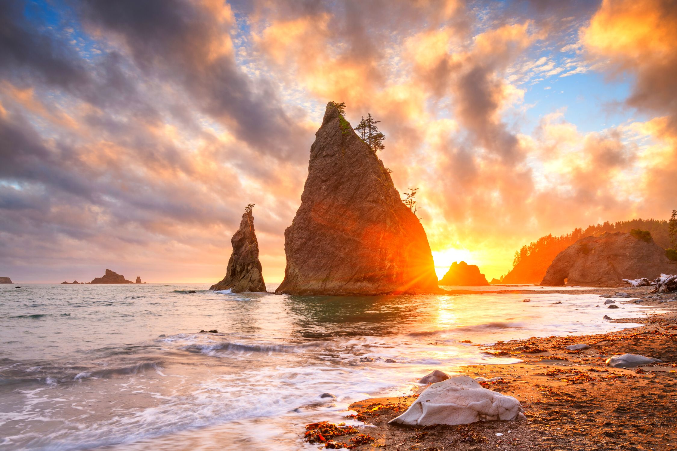 Olympic National Park  (Best Places To Visit In April In The USA)