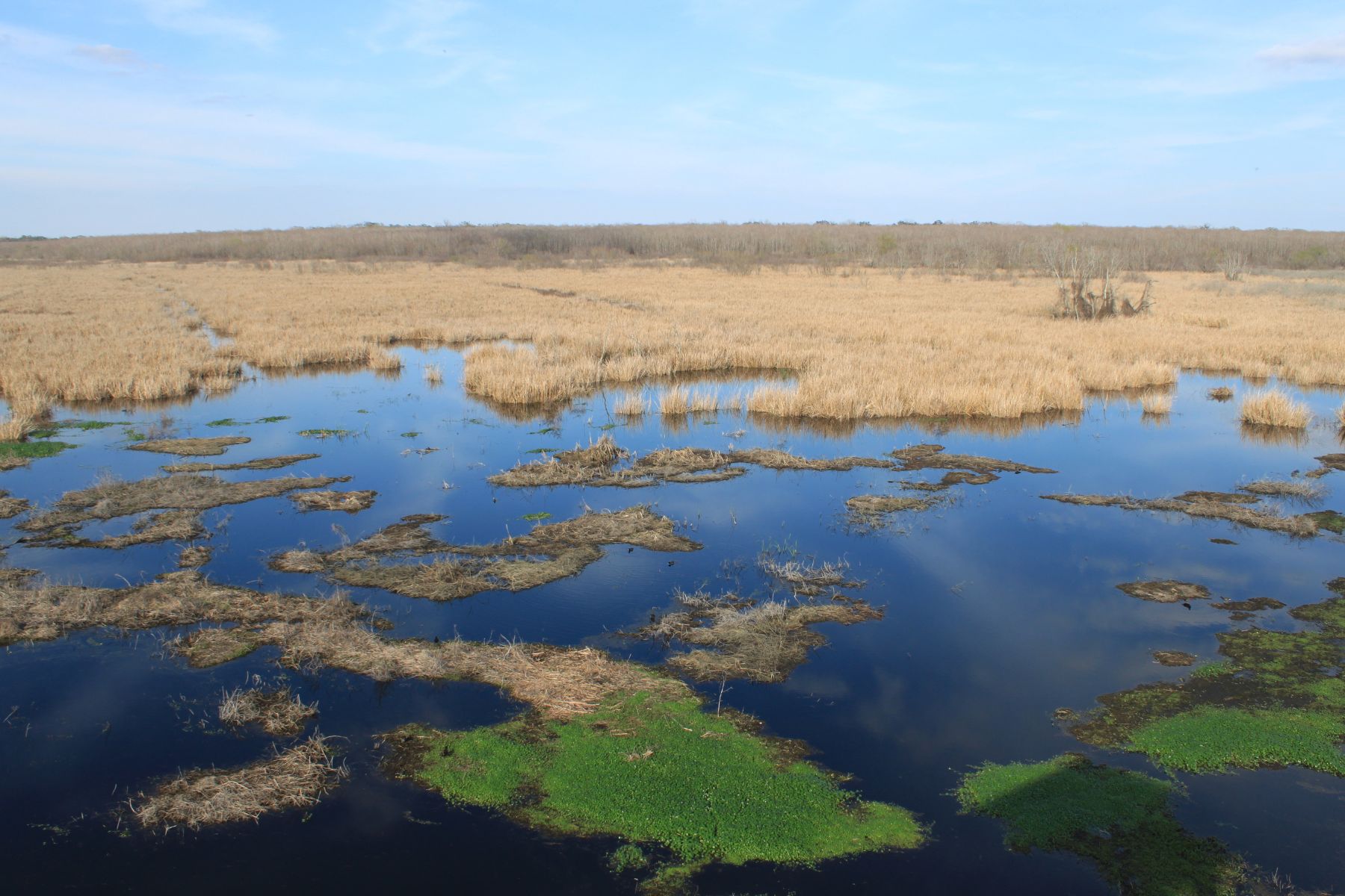 Brazos Bend State Park