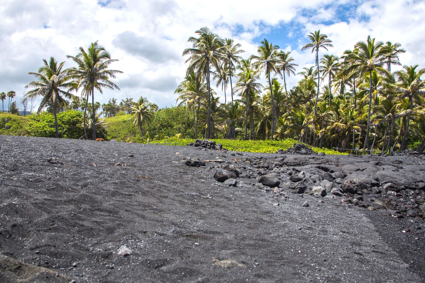 Punalu'u Beach - Hawaii