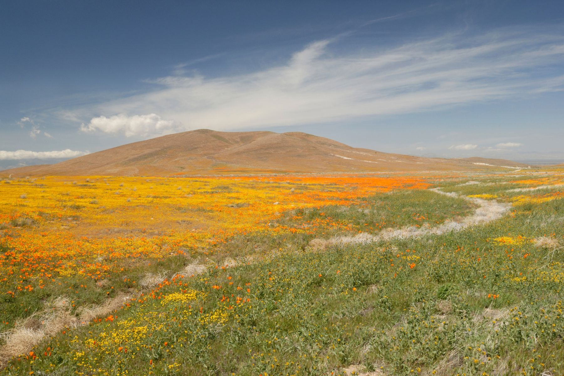 Antelope Valley