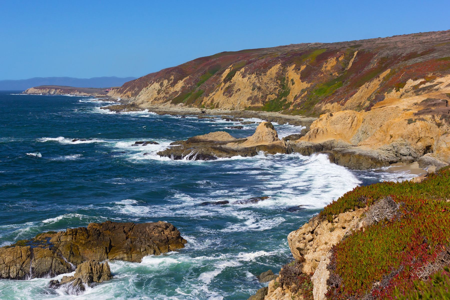 Bodega Bay - California 