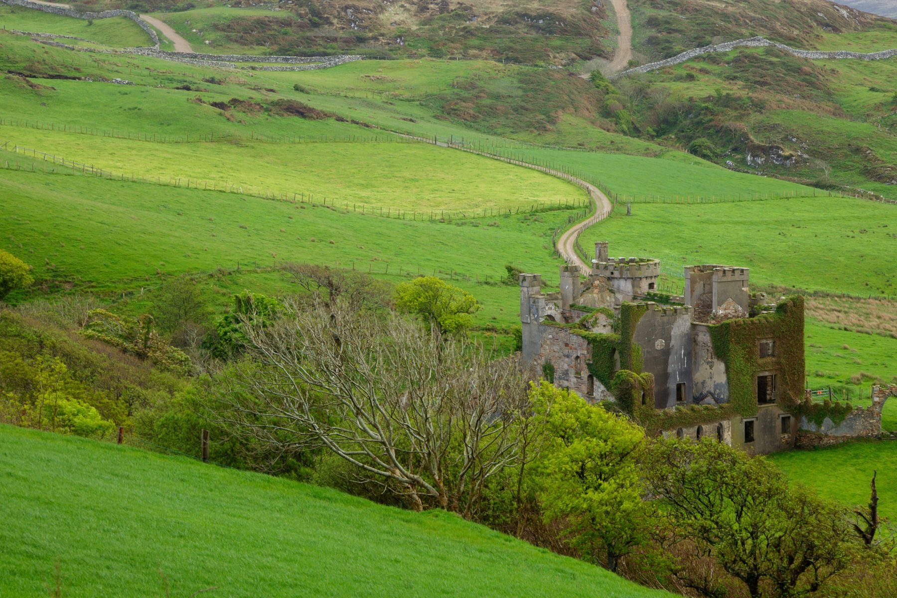 Clifden Castle