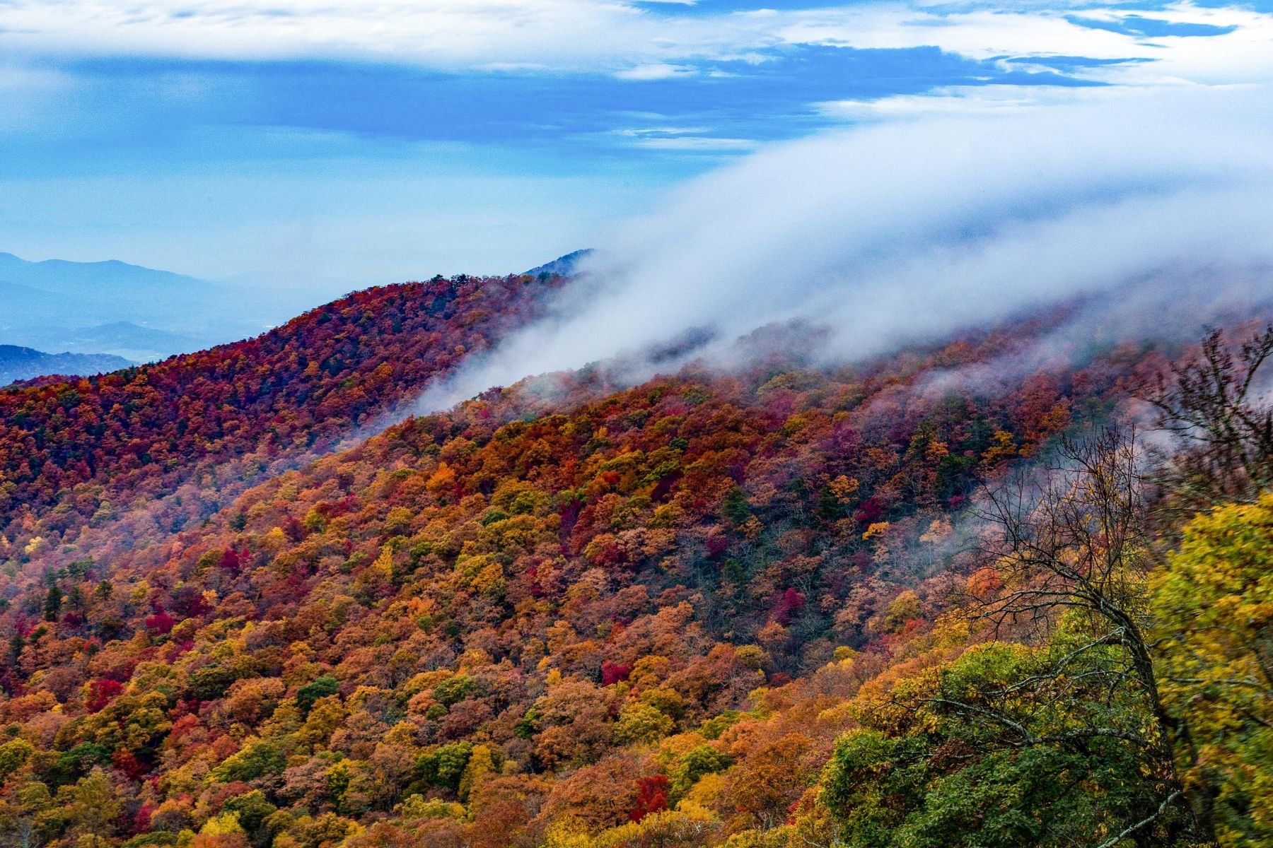 Great Smoky Mountains National Park