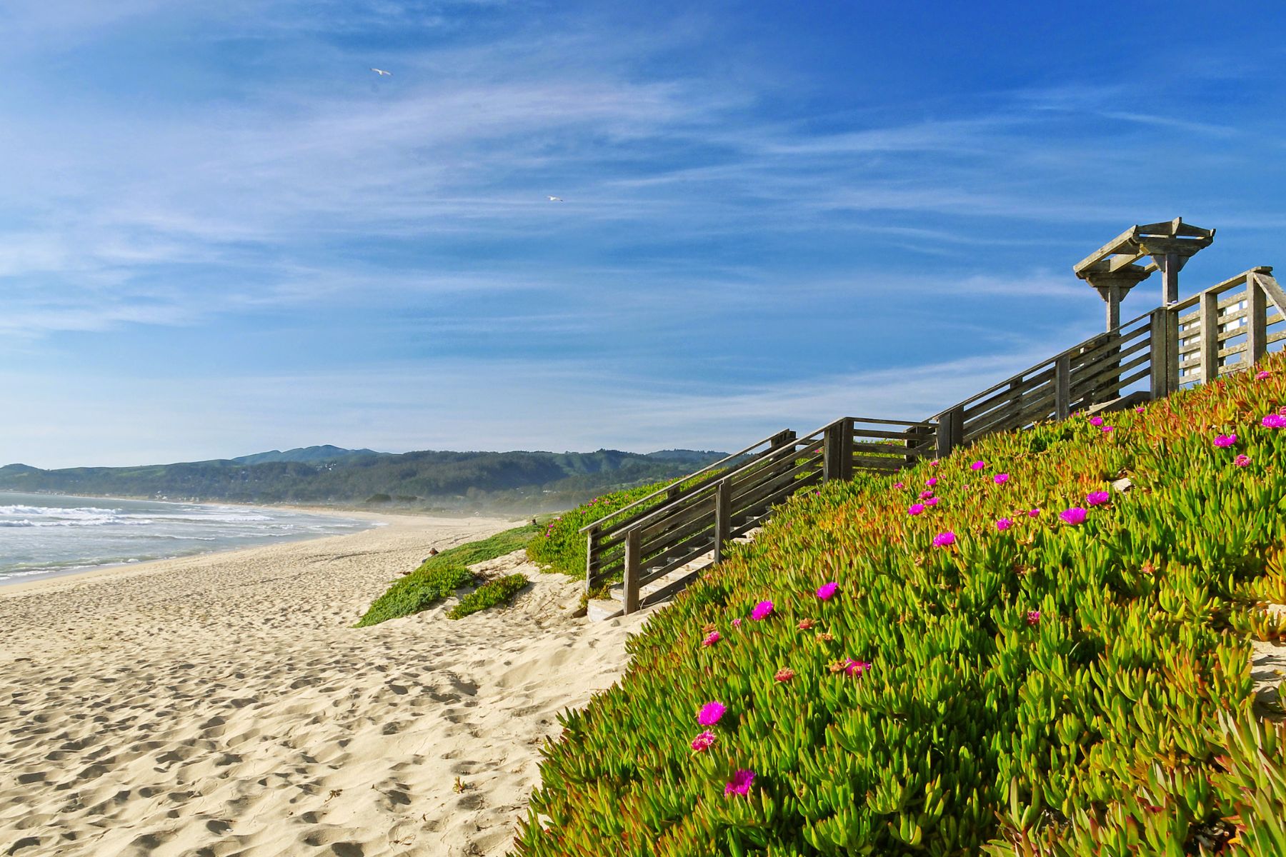 Half Moon Bay – California