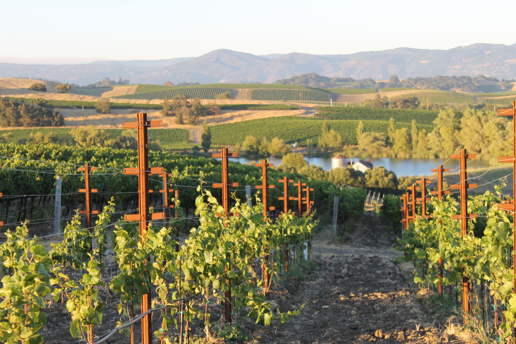 Napa – California - Best Places to Visit in May in the USA