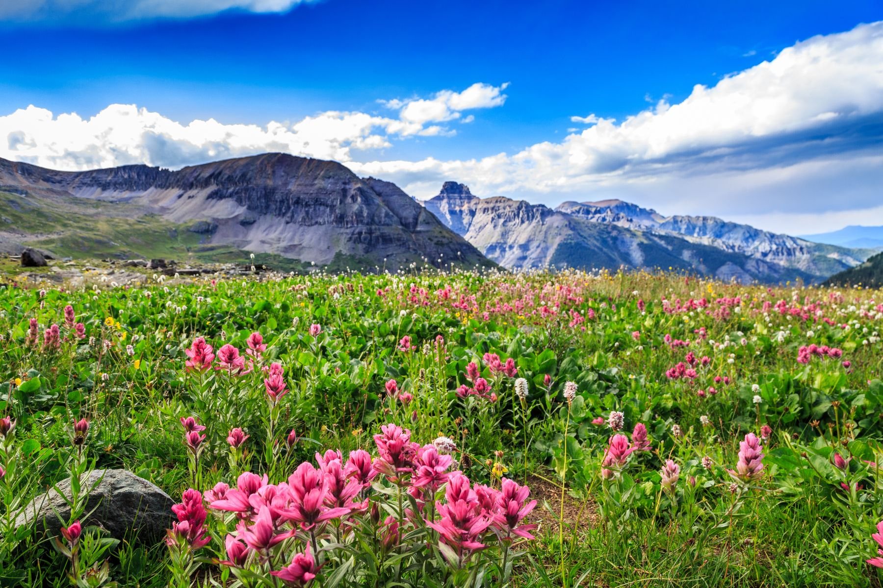 Telluride