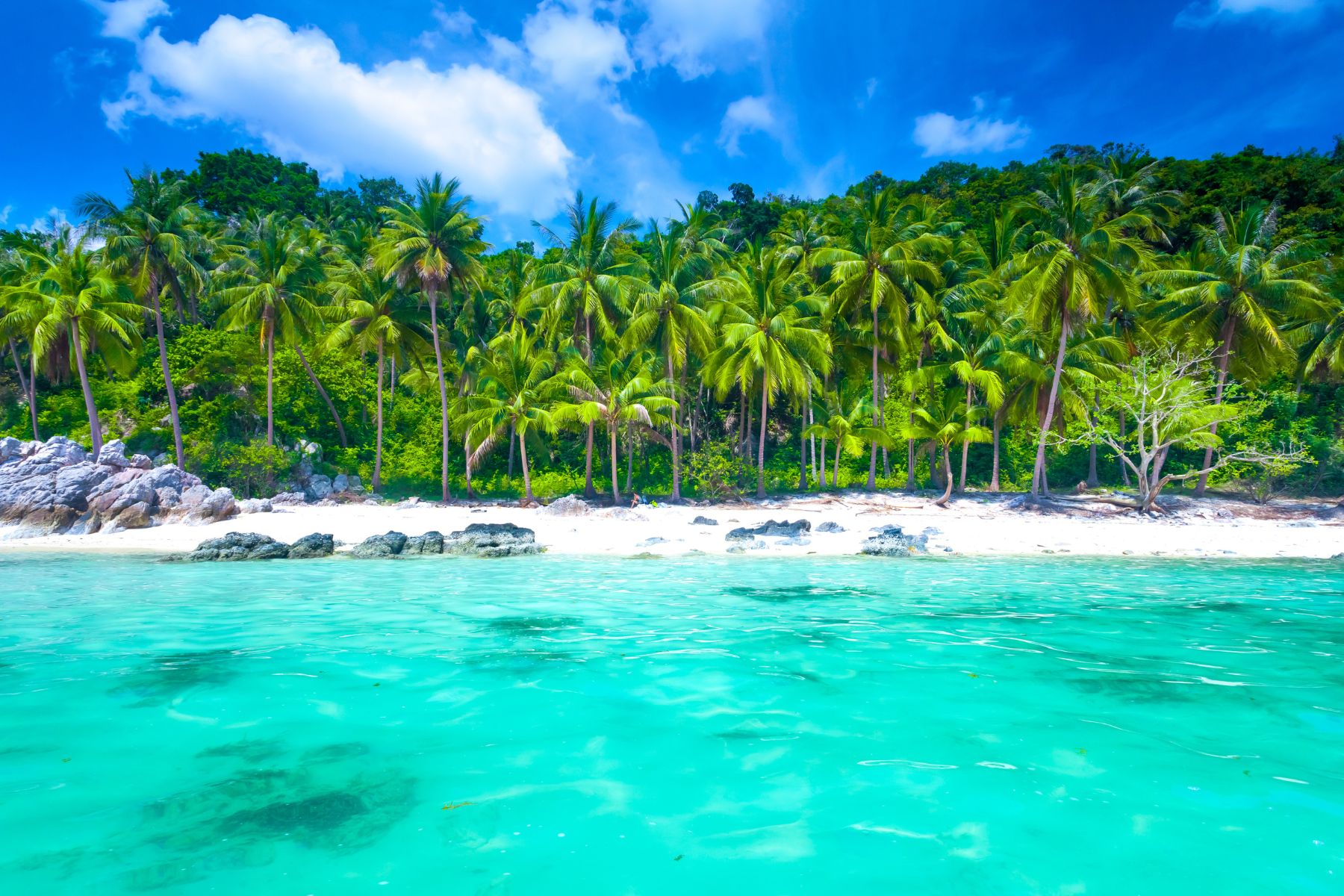 Koh Samui