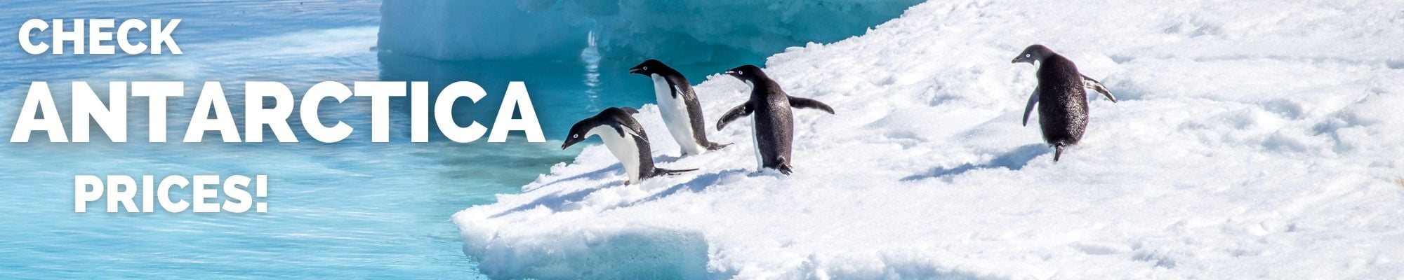 book a trip to antarctica