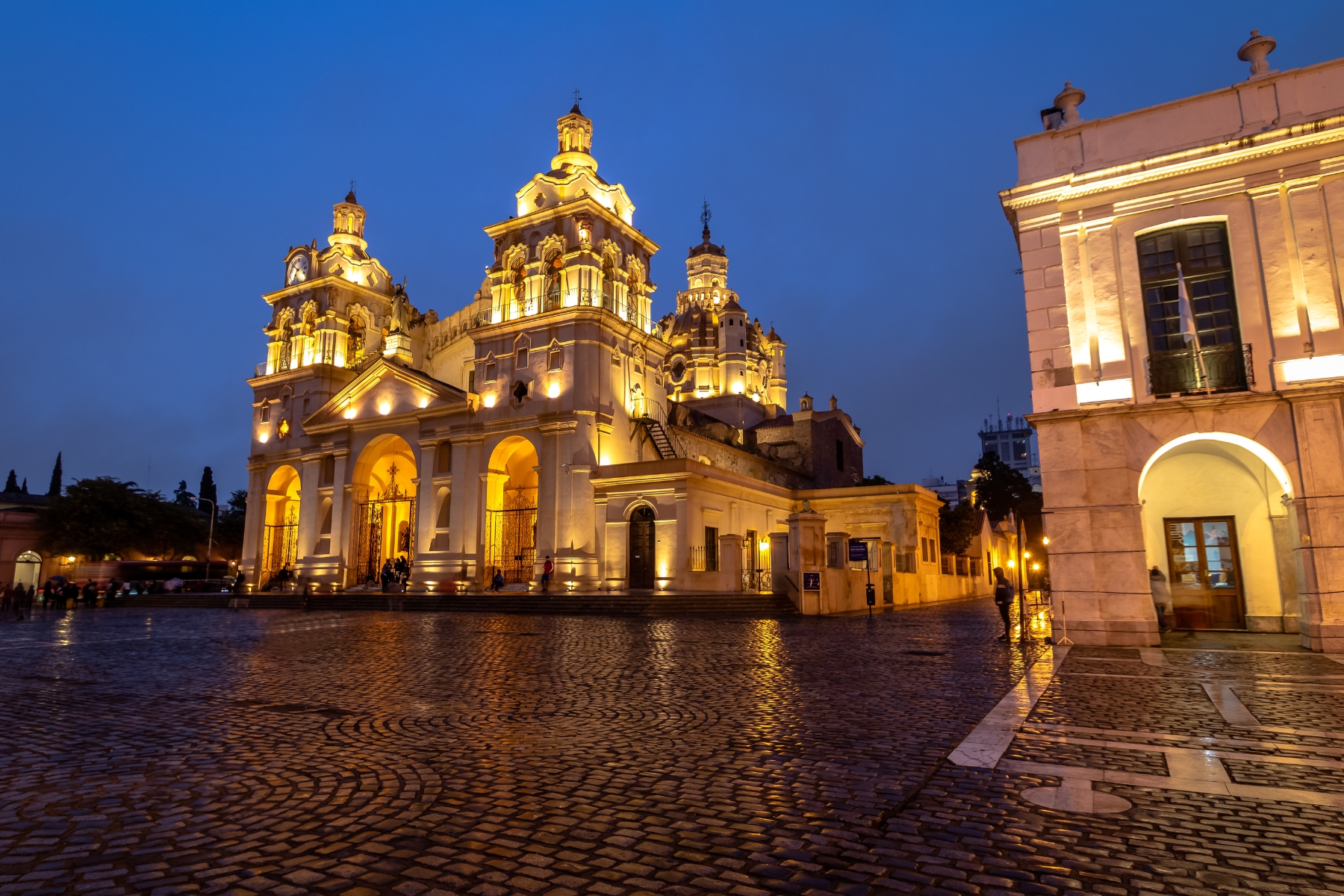 The Cathedral In Buenos Aires