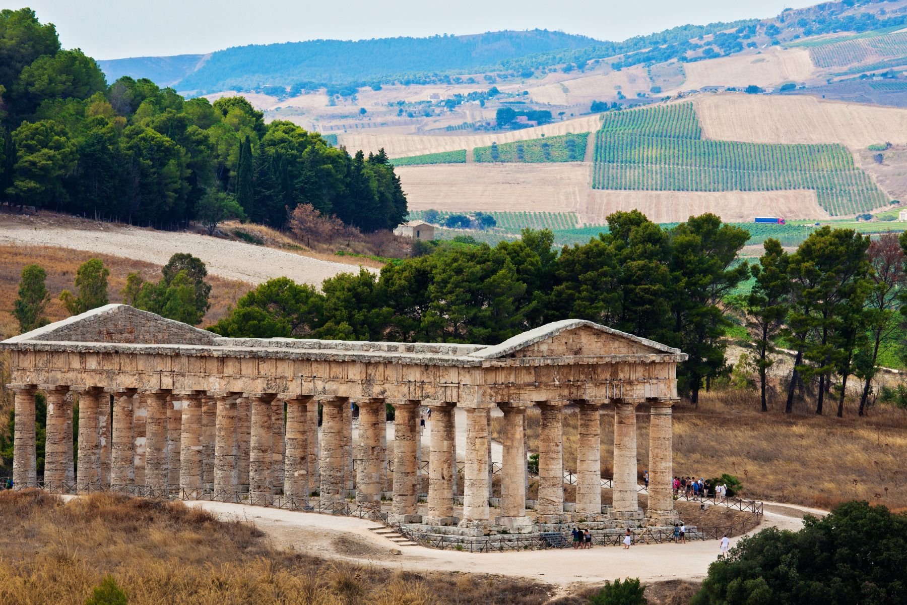  Temple of Segesta