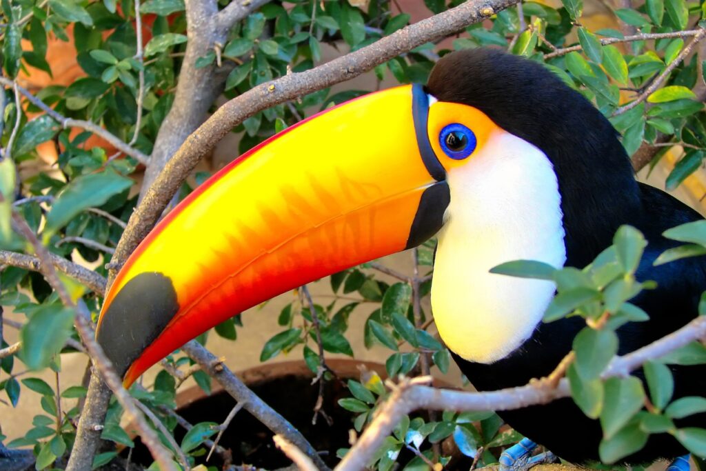 35+ FUN & Interesting Facts About Bolivia