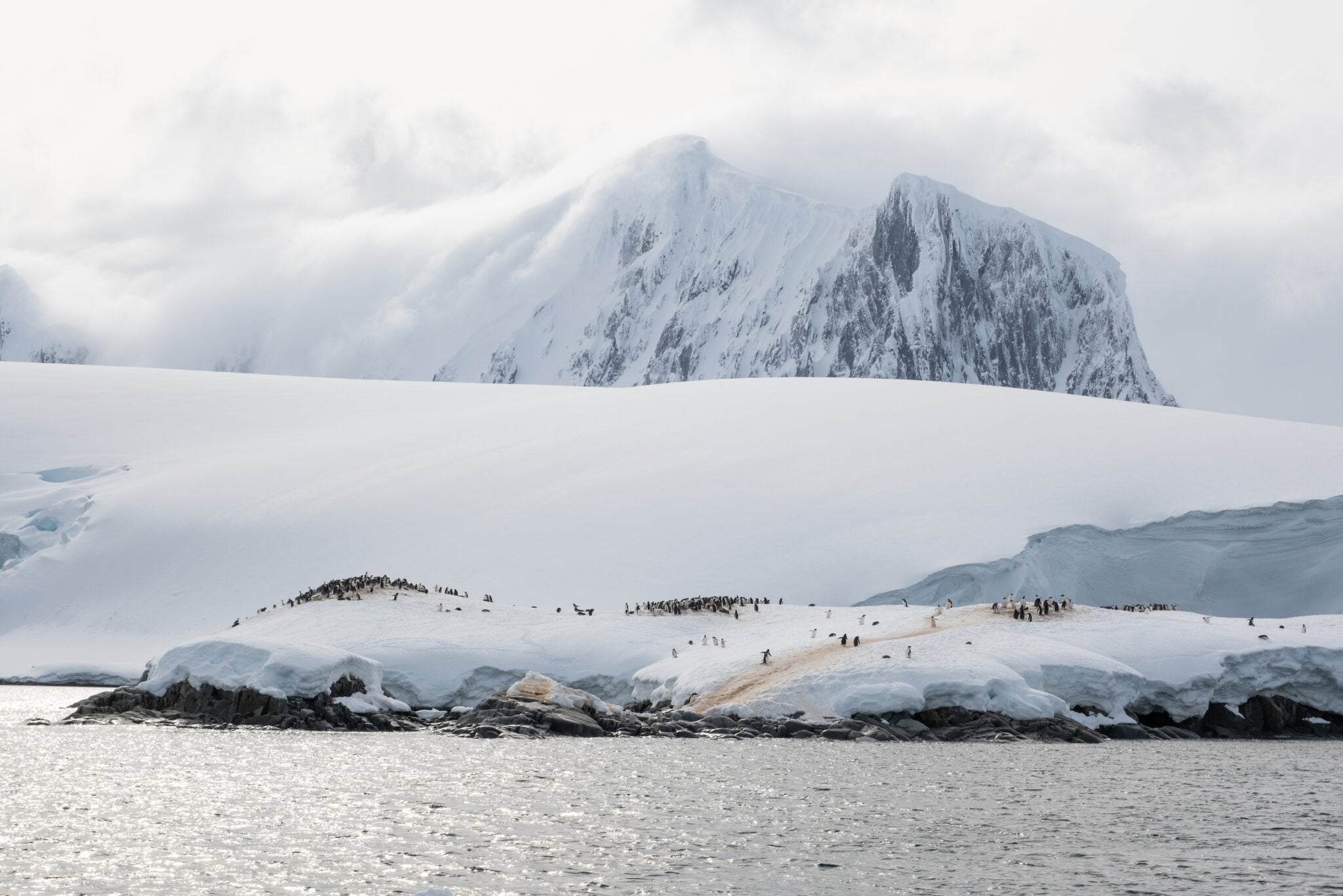 Antarctica Cruise Packing List • Antarctica Outfit Ideas