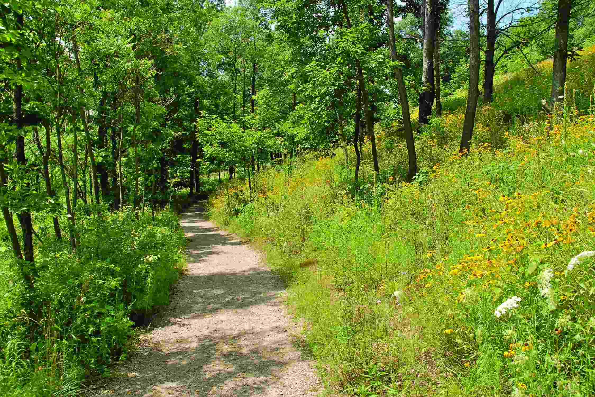 Kalamazoo Nature Center