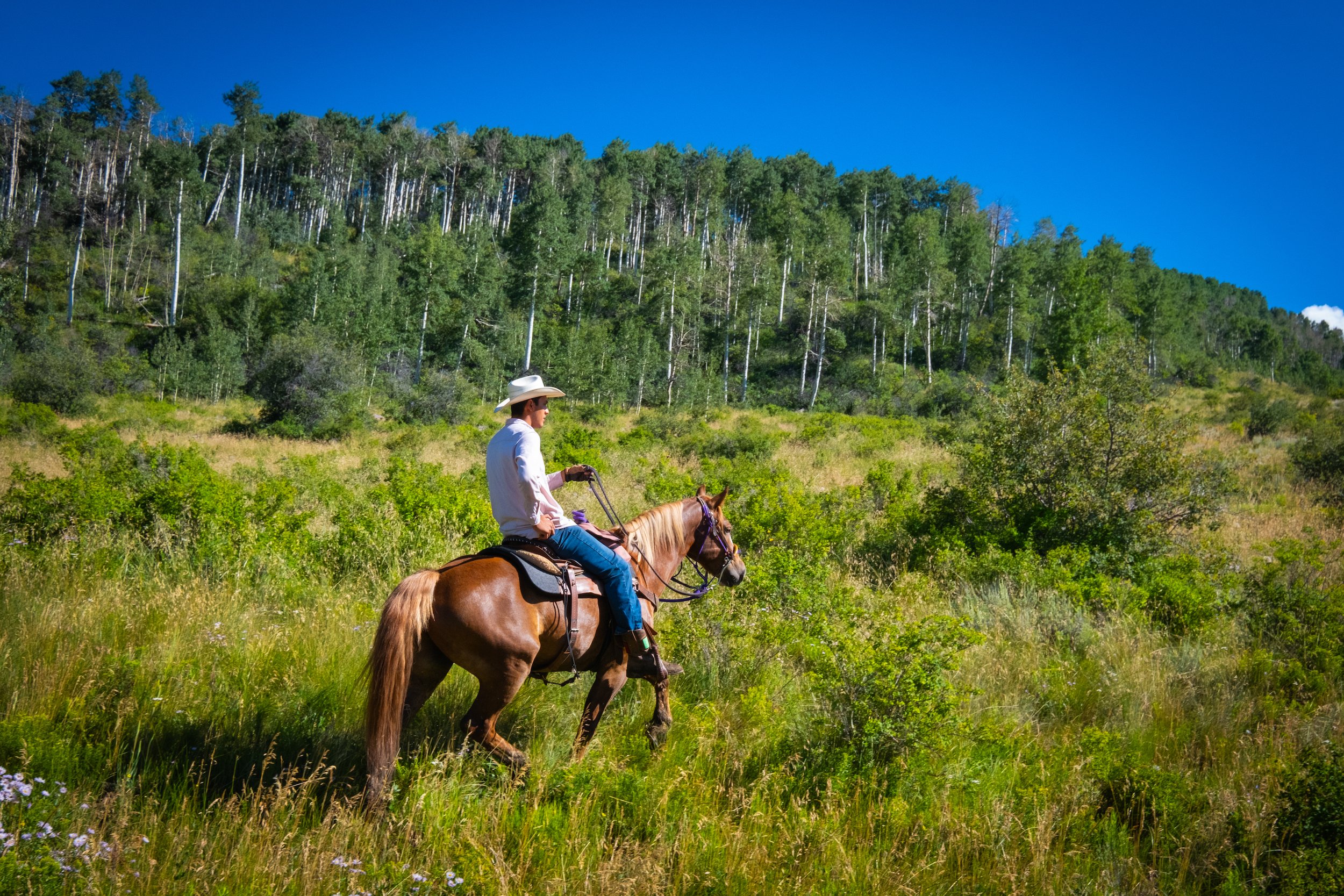 Horseback Riding Vail