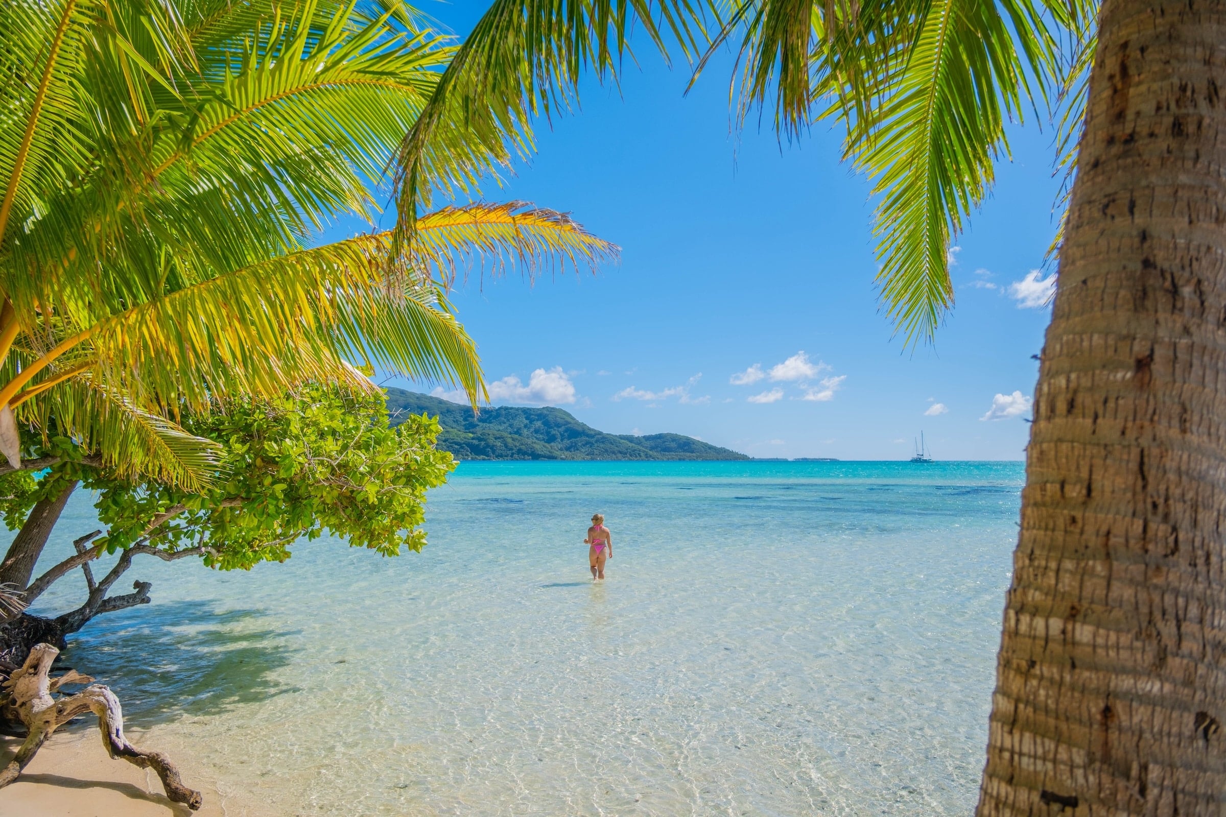 natasha in tahiti